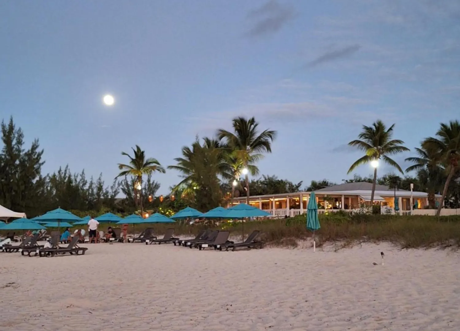 גרייס ביי Sibonne Beach Hotel 3*, גרייס ביי איי טרקס וקייקוס