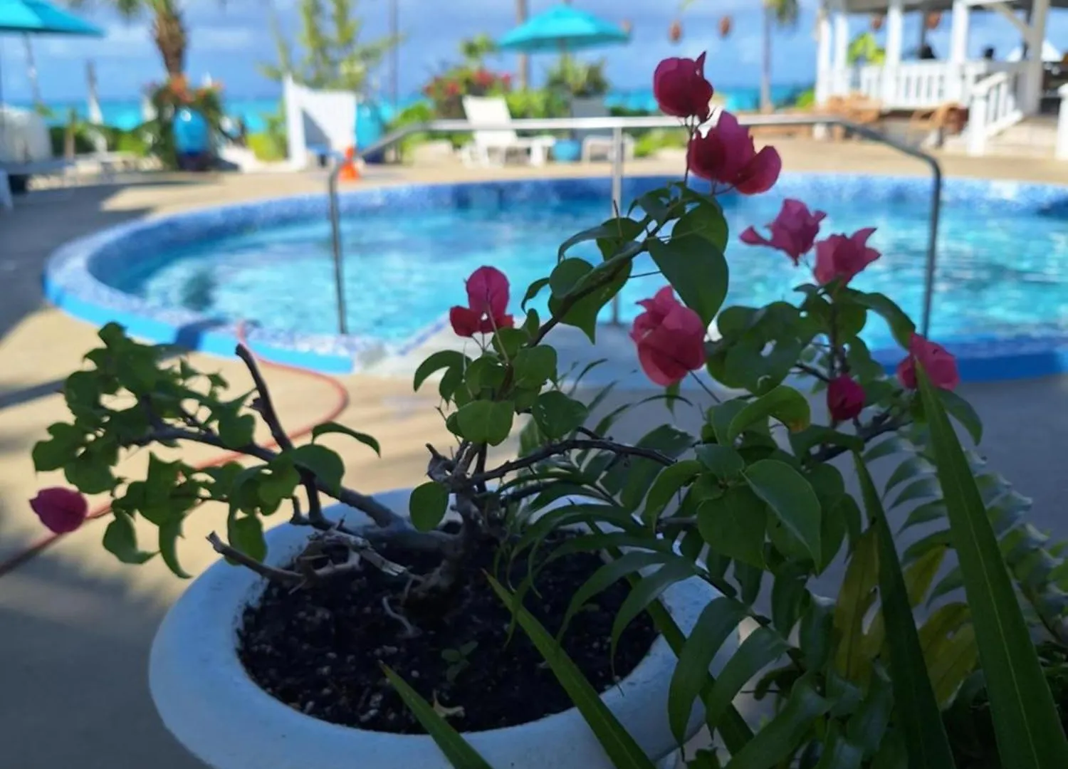 Sibonne Beach Hotel Grace Bay