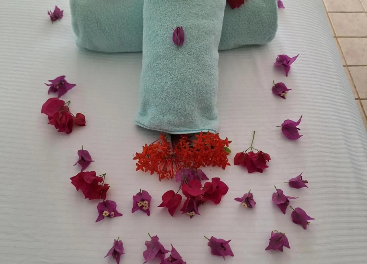 Sibonne Beach Hotel Grace Bay